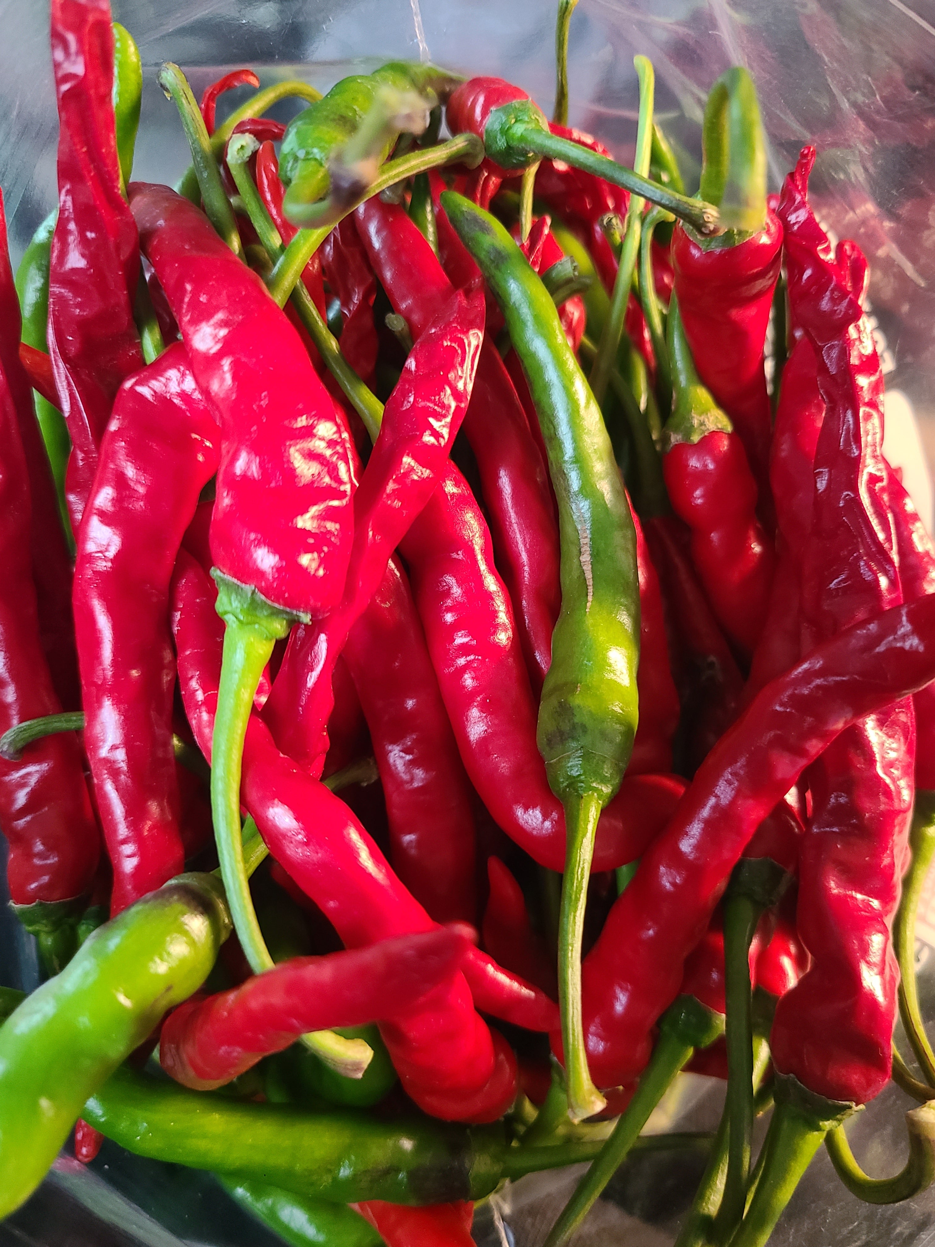 Thai Pepper