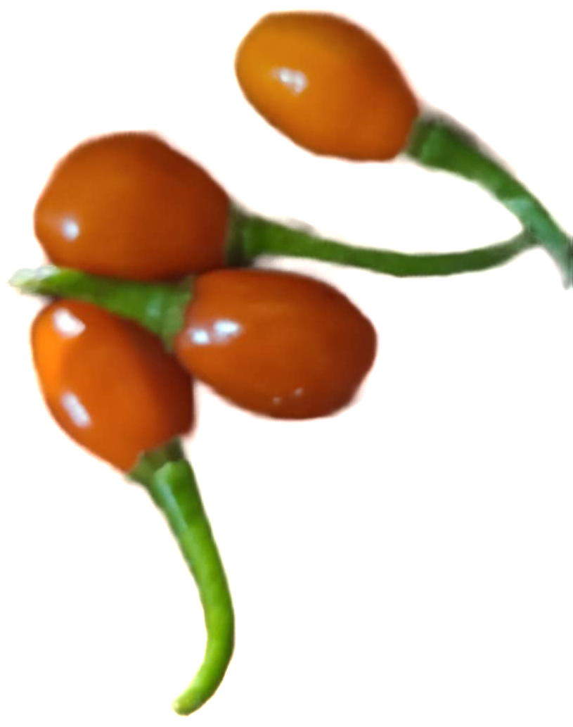 Aji Charapita Red